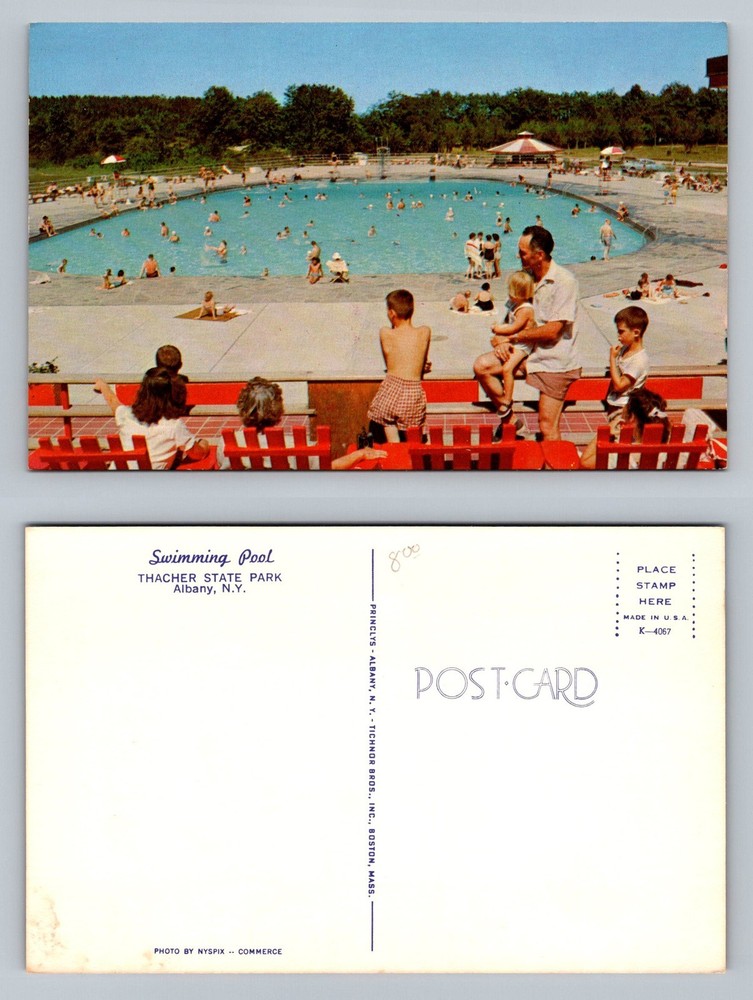 Albany, NY-New York, Thacher State Park Swimming Pool Family Vintage Postcard