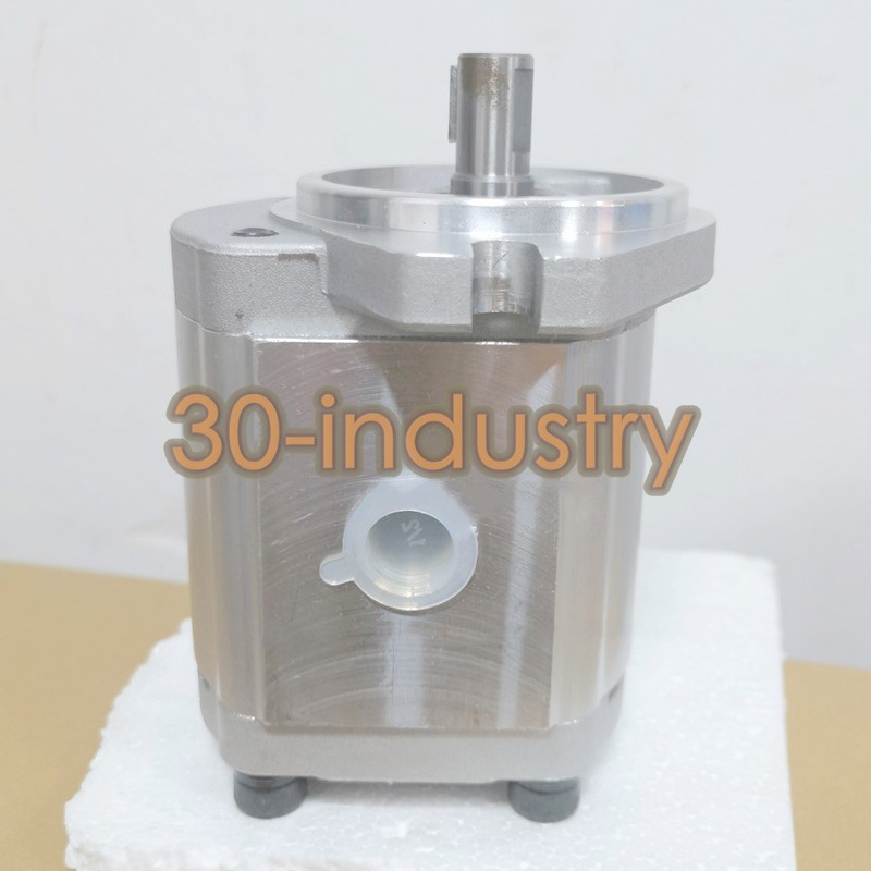 1PCS New For 2GG1B07R Gear Pump