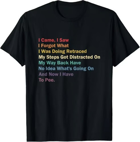 I Came I Saw I Forgot What I Was Doing Funny Sarcastic T-Shirt