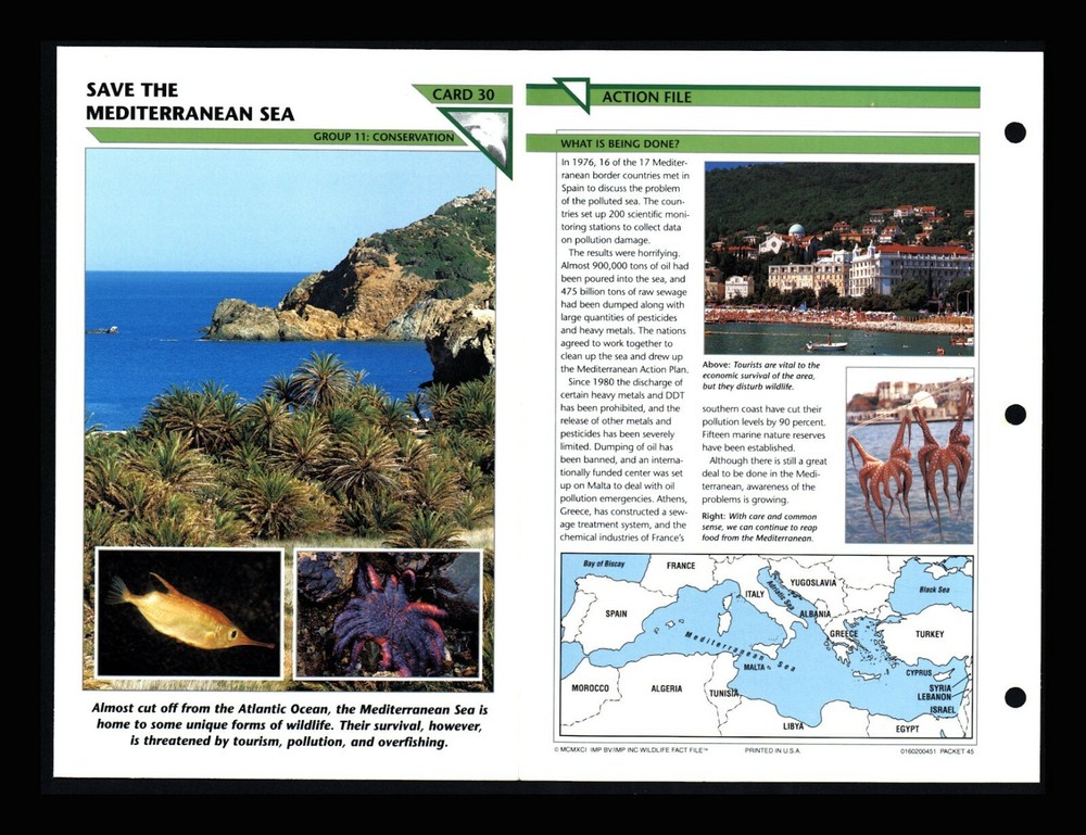 Mediterranean Sea Wildlife Conservation Fact Cards for Home Schooling 11.30
