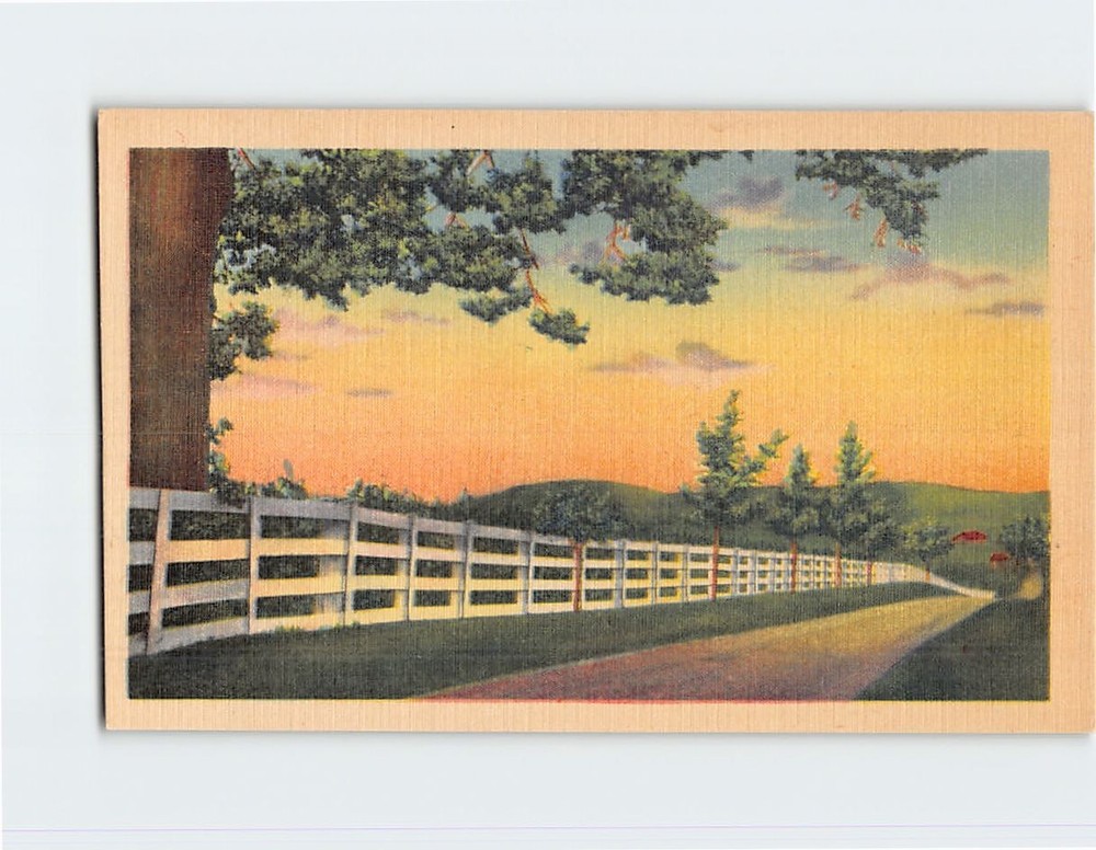 Postcard Road Trees Fence Landscape Scenery