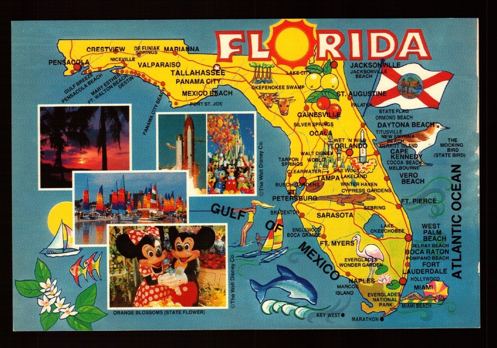 Postcard : Florida - Fl - State Map