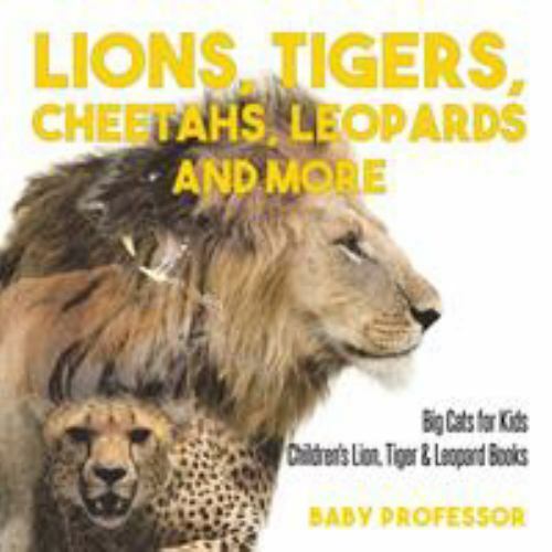 Lions, Tigers, Cheetahs, Leopards and More Big Cats for Kids Children's Lion, Ti