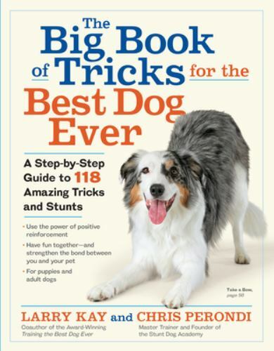The Big Book of Tricks for the Best Dog Ever: A Step-by Step Guide