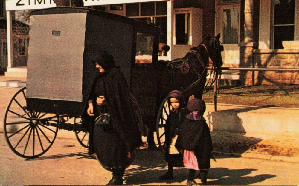 Amish Mother & Daughters Horse & Buggy Pennsylvania Dutch Country PA - Postcard
