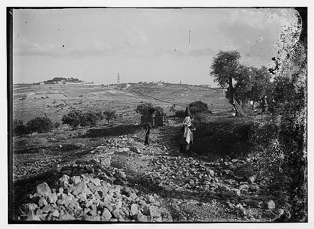 Photo:Jerusalem, Mt. of Olives