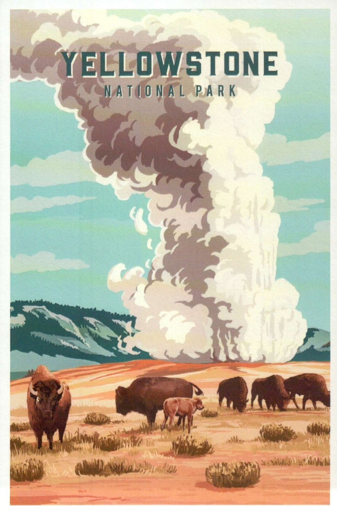 Yellowstone National Park, Bison & Old Faithful Geyser Wyoming - Modern Postcard