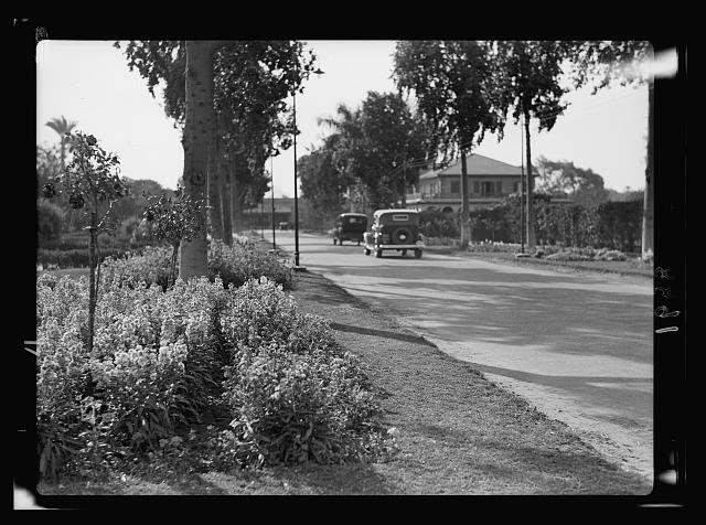 Gezira Gardens,Cairo,Egypt,American Colony Jerusalem Photo Dept,1934-1939