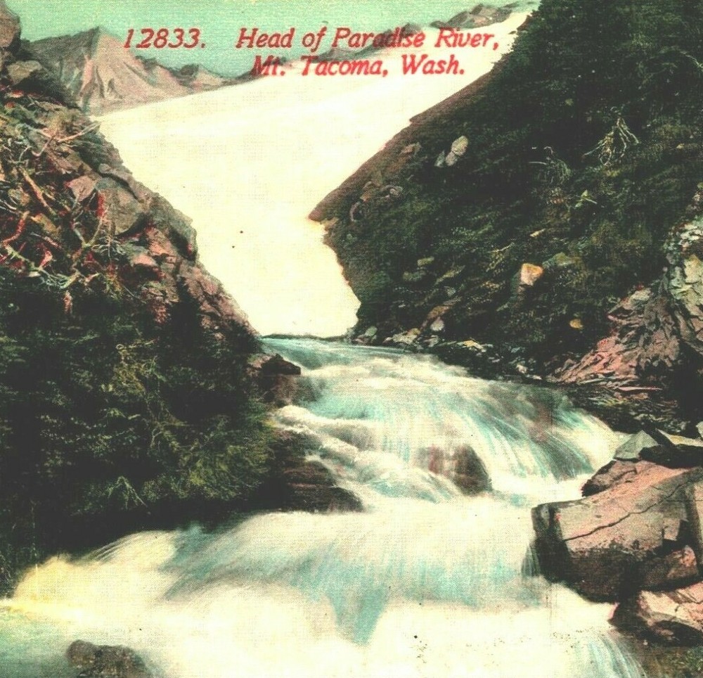 Head of Paradise River Tacoma Washington WA UNP DB Postcard T15