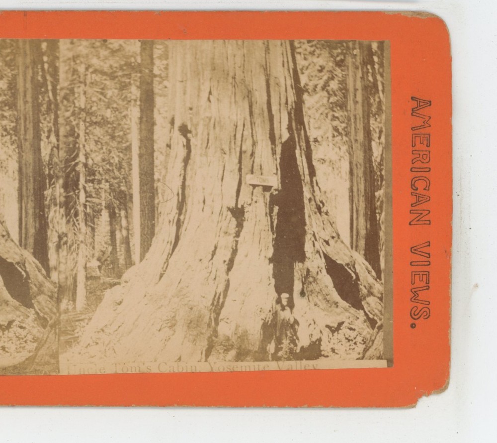 Tom's Cabin Yosemite Valley California Stereoview