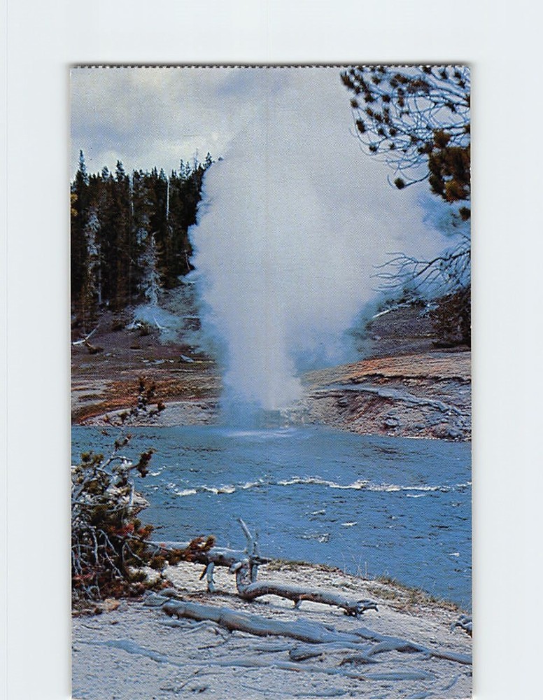Postcard Riverside Geyser in Yellowstone National Park Wyoming USA