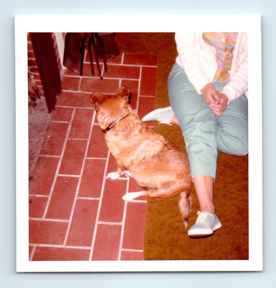 Old Vintage Square Color Photo BAD CROP WOMAN AND DOG SITTING IN LIVING ROOM