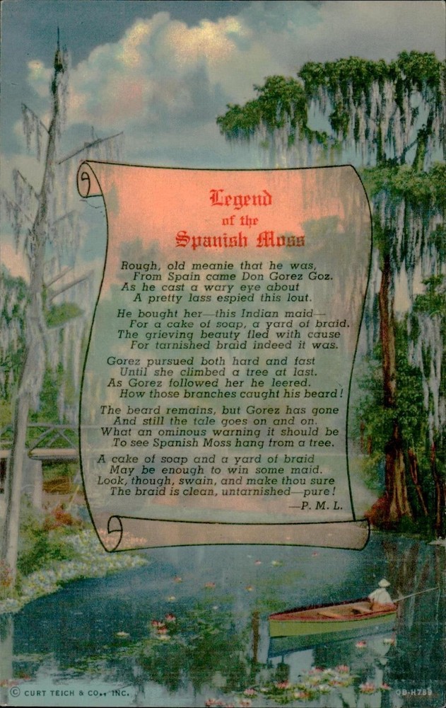 Curt Teich Postcard Legend of the Spanish Moss Florida Scenic Boat Swamp Vintage