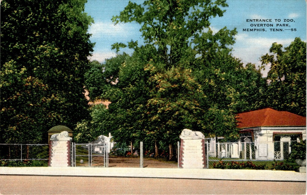 ZOO ENTRANCE, OVERTON PARK, MEMPHIS, TENN, Two lions Postcard