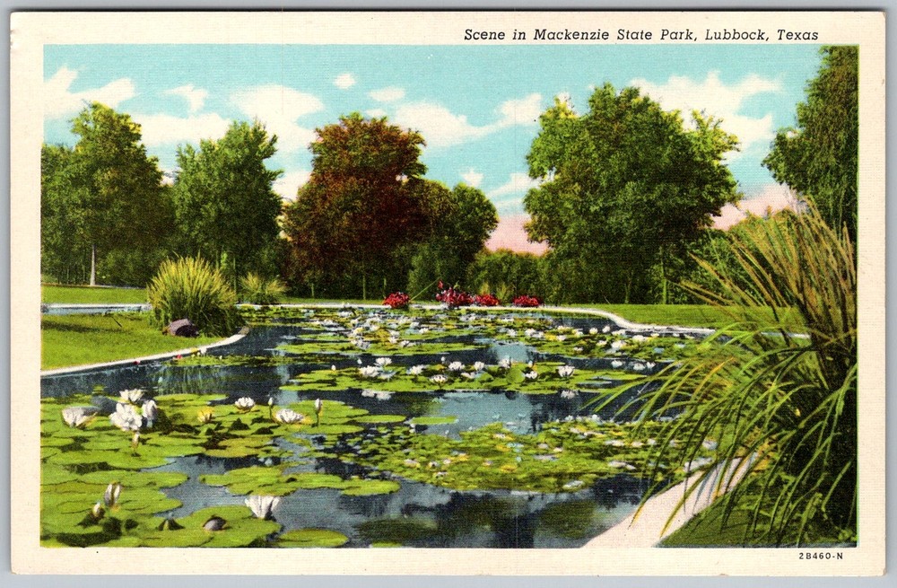 Vtg Linen Postcard Water Lily Pond Scene Lubbock, TX 1930s