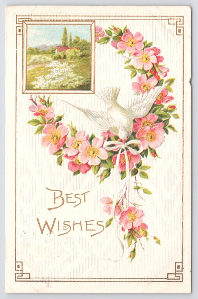Greetings~Dove Pink Flowers Best Wishes~Vintage Postcard