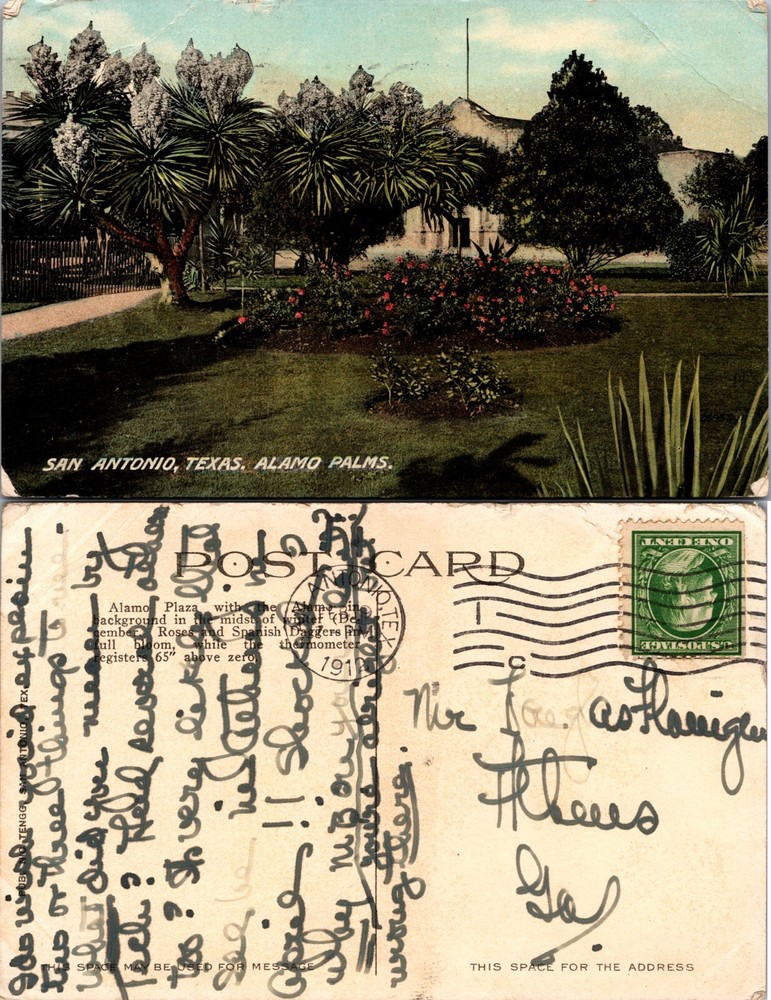 Alamo Palms Garden Grounds San Antonio Texas TX Postcard