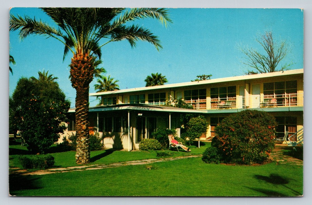 Phoenix Arizona AZ Los Olivos Lodge Outside VINTAGE View Postcard Petley Studios