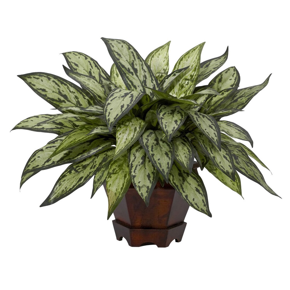Triple Stem Silver Queen Pothos in Sleek Hexagon Planter  