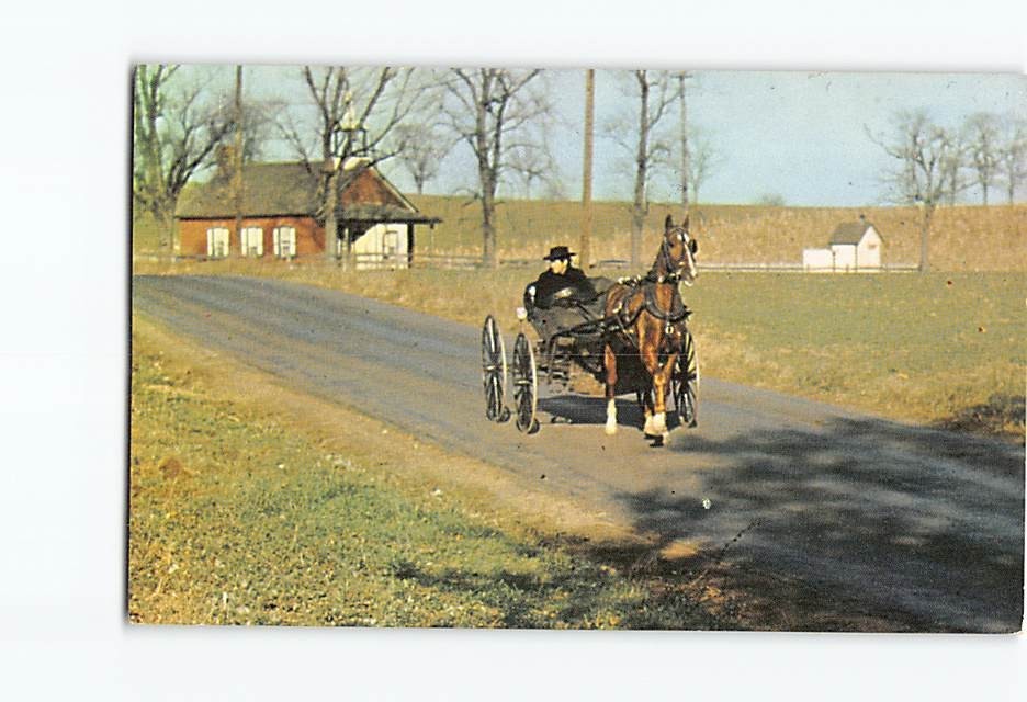 Postcard Pennsylvania Dutch Country Amish Courting Buggy Little Red Schoolhouse