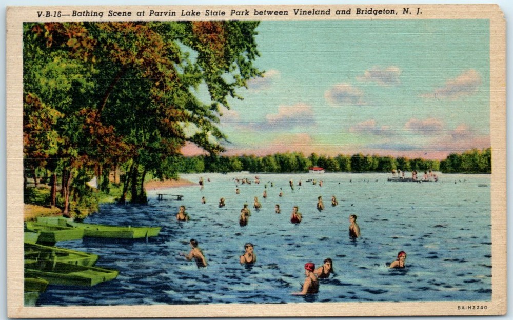 Bathing Scene at Parvin Lake State Park Between Vineland & Bridgeton, New Jersey