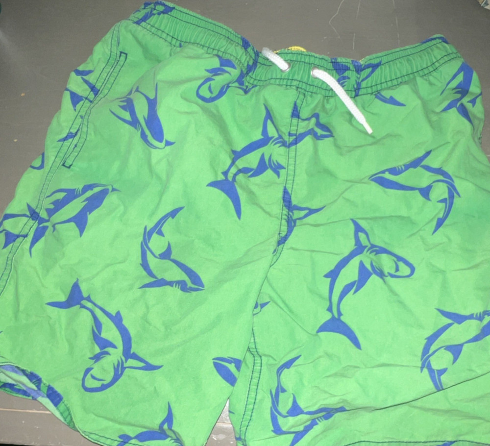 Polo Ralph Lauren Boys Dolphin Print Swim Trunks Green Blue L 14-16