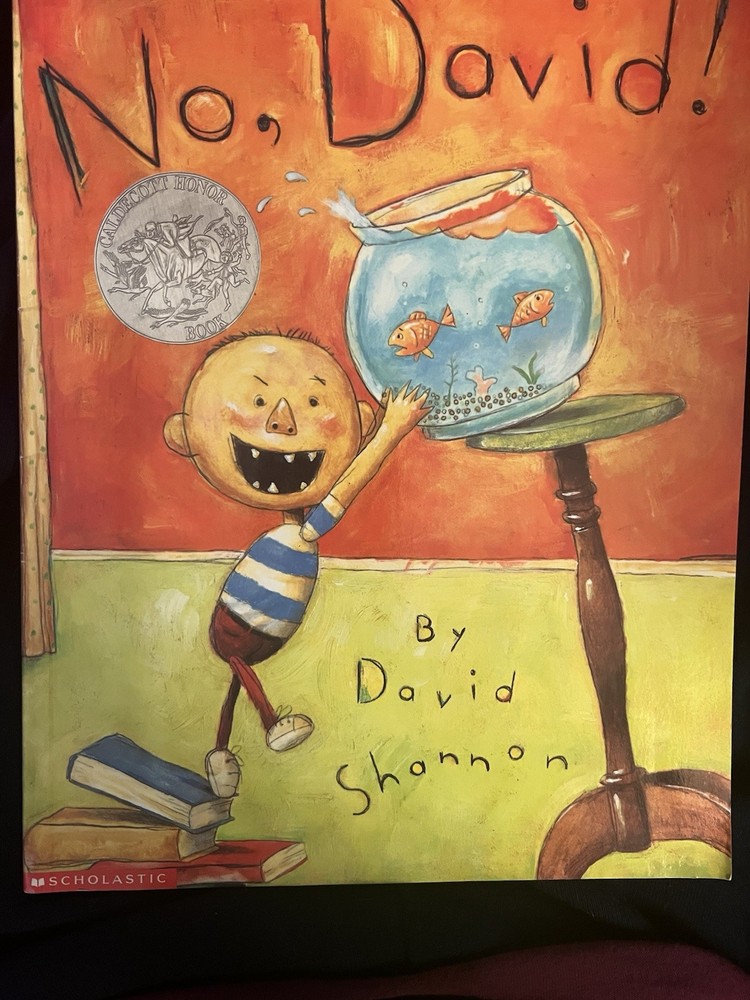 No, David! - paperback David Shannon