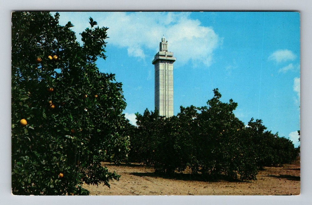 Clermont, FL-Florida Citrus Observation Tower and Orange Groves Vintage Postcard