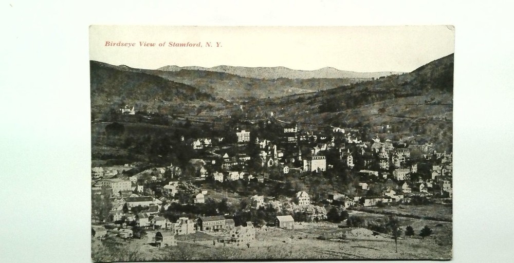 Vintage Birdseye View of Stamford NY Divided Back Postcard 1907-1915