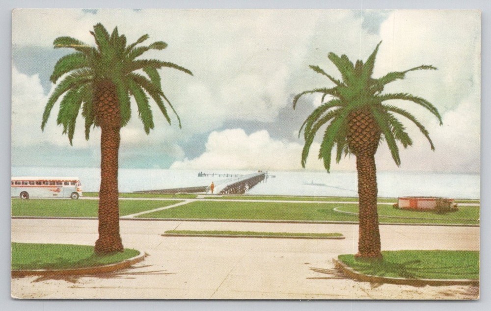 Biloxi Mississippi Gulf Coast Palms Pier 1957 Continental Trailways Postcard