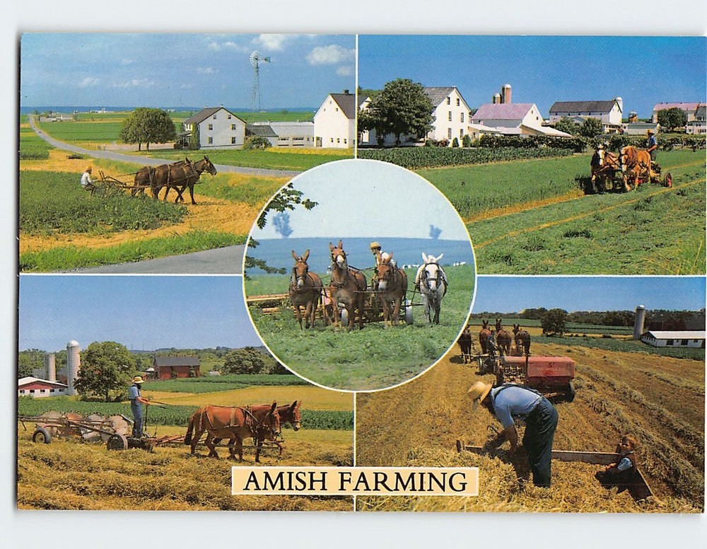 Postcard Greetings From 