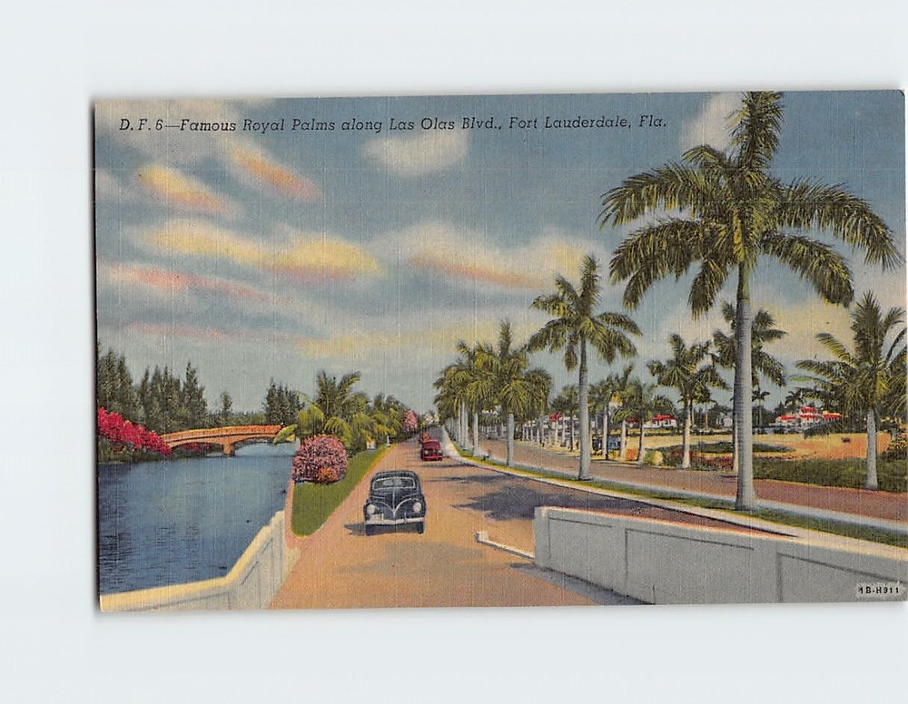 Postcard Famous Royal Palms along Las Olas Blvd., Fort Lauderdale, Florida