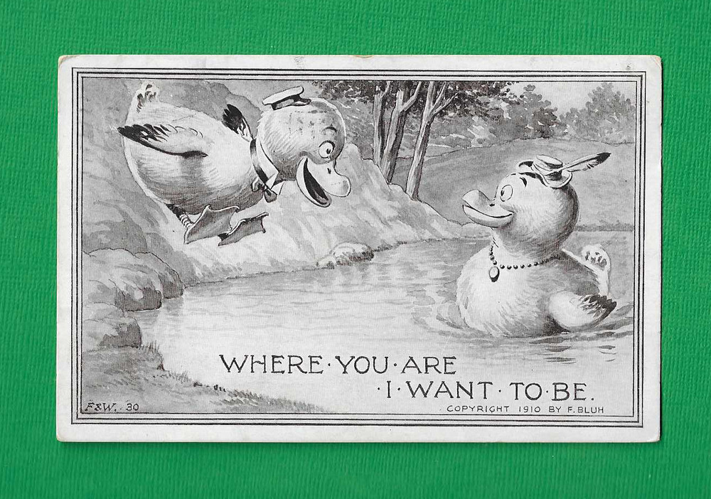 vintage 1910 F. BLUH postcard WHERE YOU ARE I WANT TO BE - 1911 Humor Duck  P5