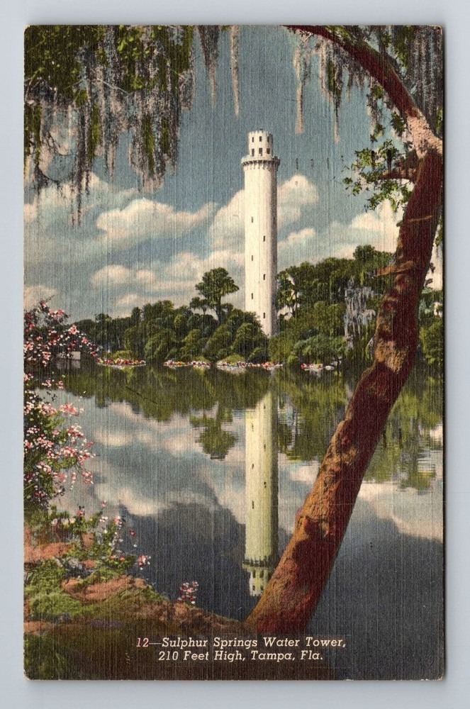 Tampa FL-Florida, Sulphur Springs Water Tower, c1951 Antique Vintage Postcard