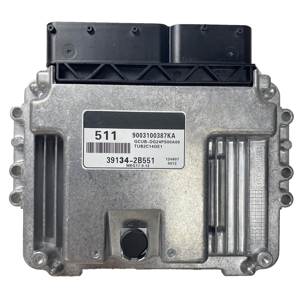 39134-2B551 Engine Car Electronic Control Unit ECU For KIA 511 MEG17.9.12