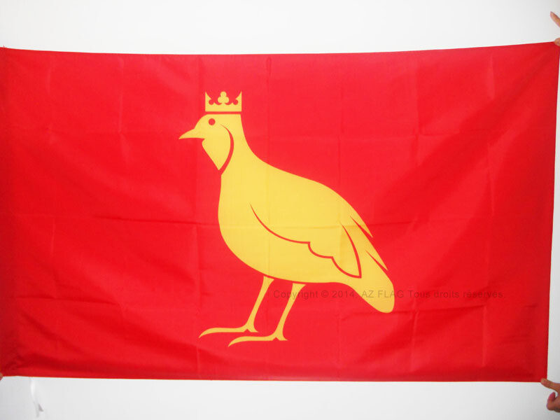 Aunis France Province Flag 2x3 ft for Pole - 60x90 cm French Region Banner