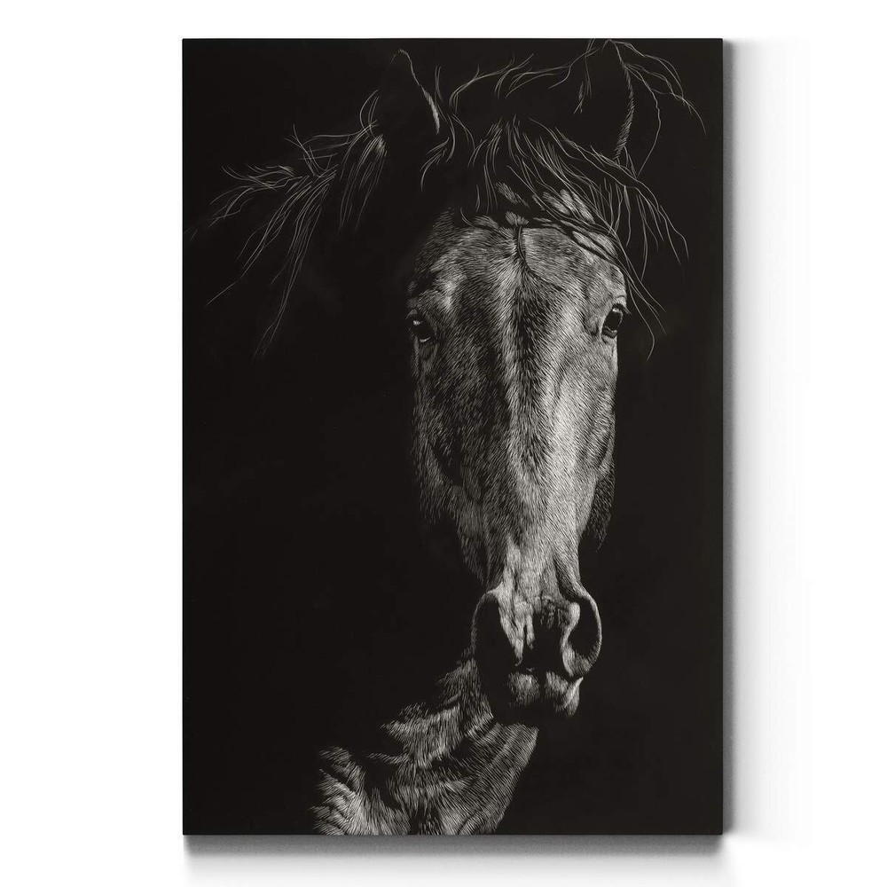 Portrait Style Canvas Wall Art: Animals, Dogs, Birds, Fish, Horses, Elk, Deer...