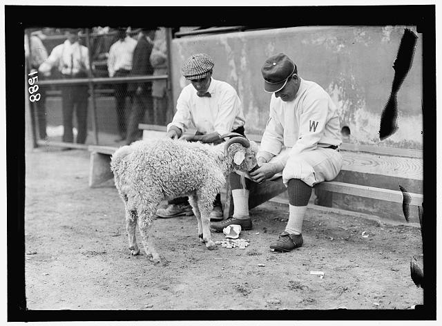 William Germany Schaefer,Washington AL,Baseball,Sports,Harris & Ewing,1912,1