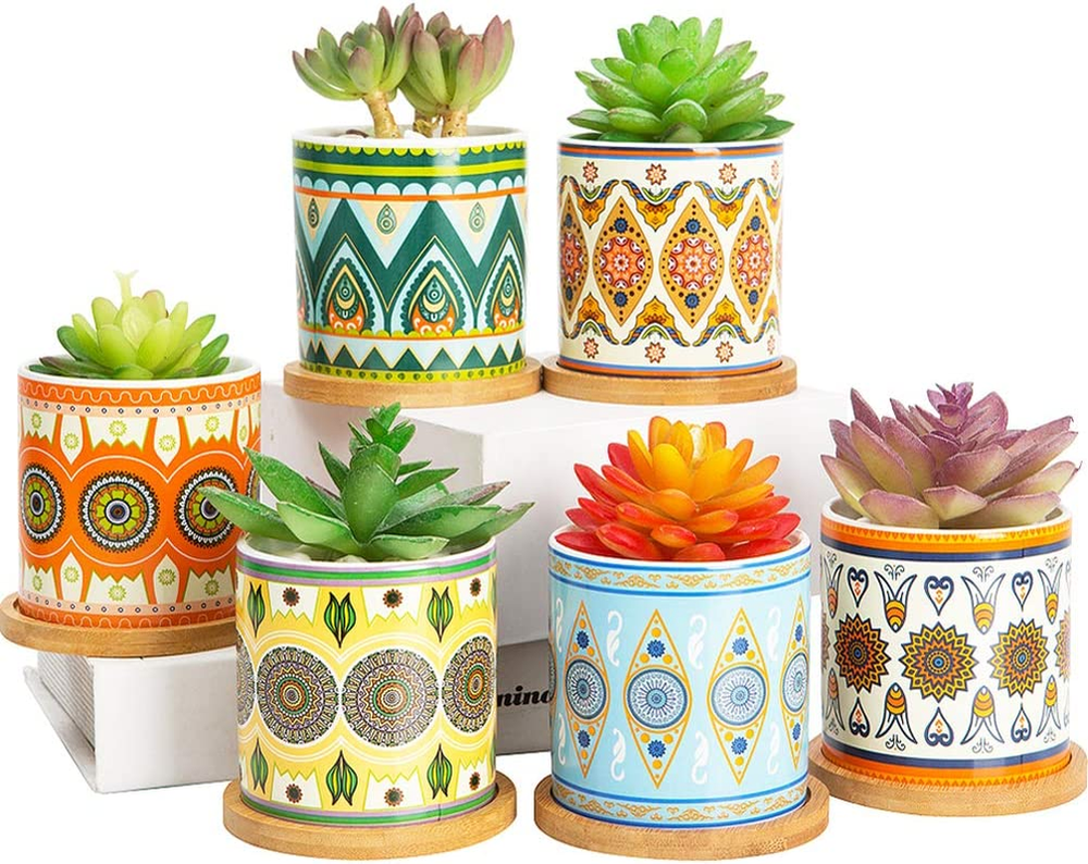 Succulent Plant Pots - 3.1 Inch Ceramic Succulent Planter -Cylinder Flower Pots