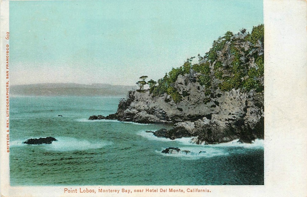 C-1905 Monterey California Point Lobos Bay Hotel Del Monte Postcard 24-11051