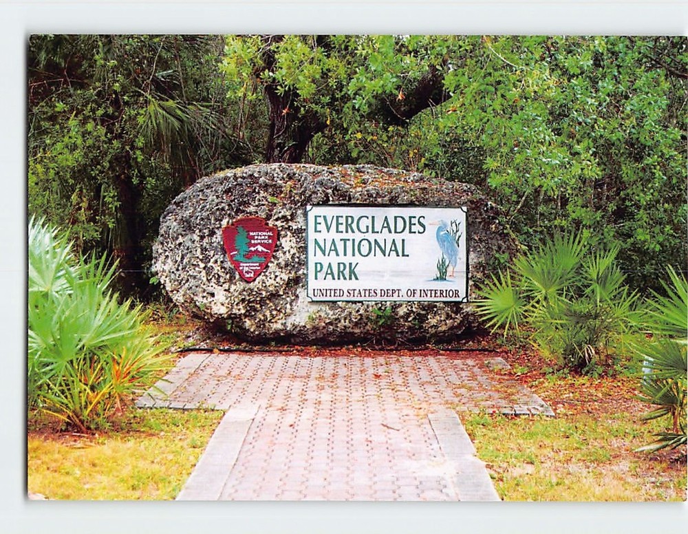 Postcard Everglades National Park Florida USA