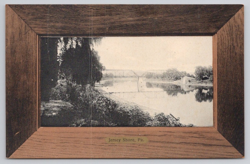 Jersey Shore PA River Bridge Rotograph Co. 1905 Real Photo Postcard