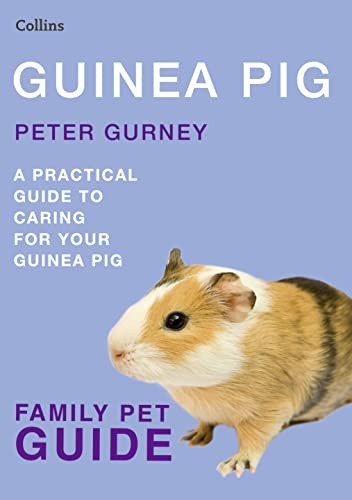 Guinea Pig (Collins Family Pet Guide) by Gurney, Peter Book The Fast FreeFREE US DELIVERY | ISBN: 0007436653 | Quality Books