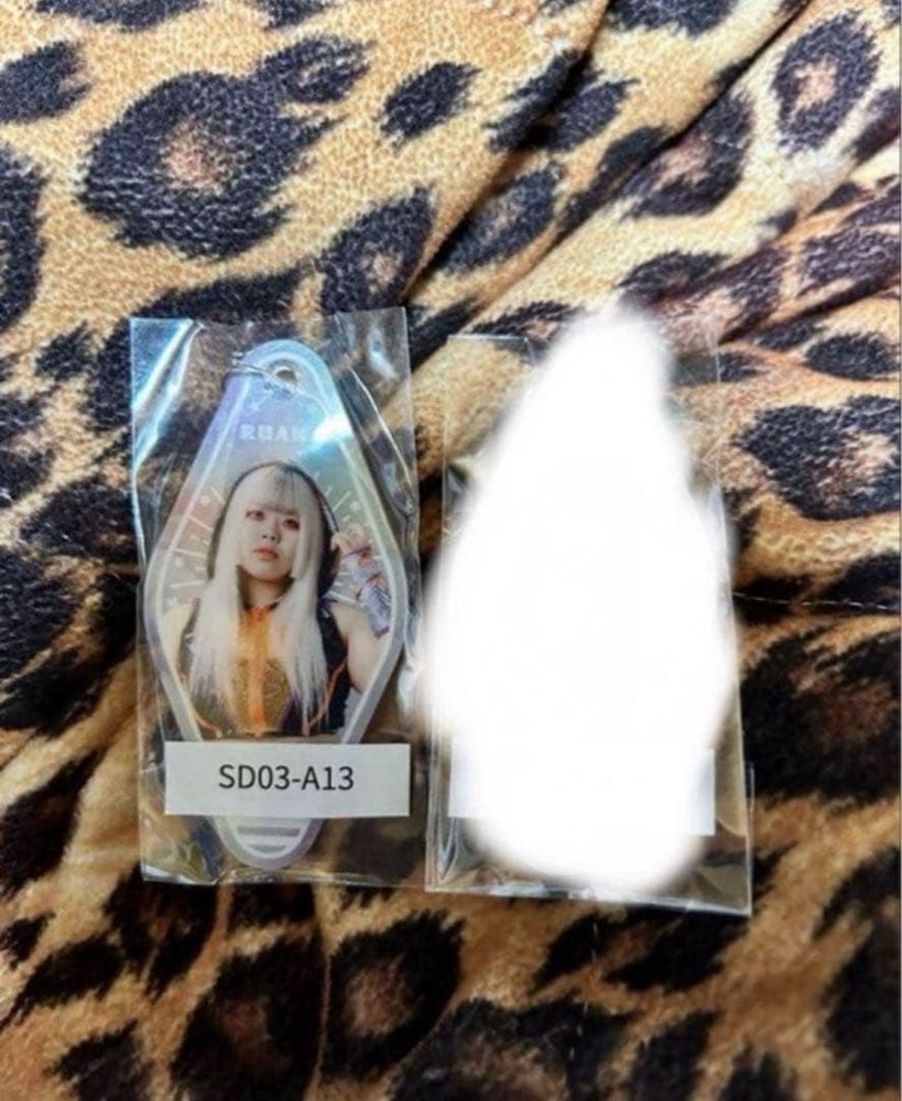 Stardom Ryukatsu Acrylic Motel Keychain Unopened Pro Wrestling Japan