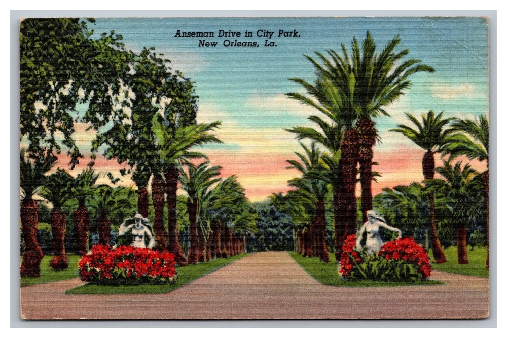 New Orleans Louisiana LA Anseman Drive City Park Palm Trees Linen Postcard