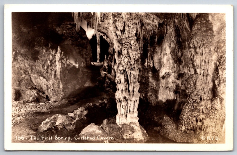 RPPC~New Mexico~The First Spring @ Carlsbad Cavern Natl Park~Real Photo Postcard