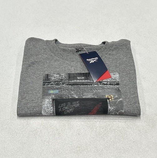 Reebok Men's Regular Fit Short Sleeve Graphic T-Shirt, Gray, Size L