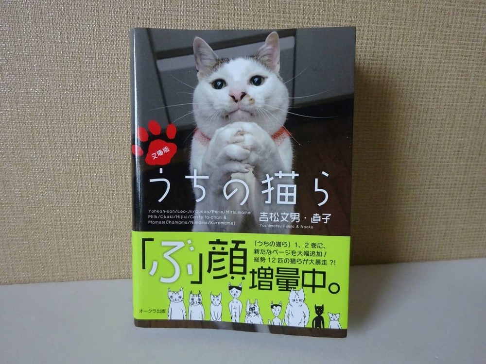 USED First Edition Paperback Book Fumio Yoshimatsu Naoko Paperback E