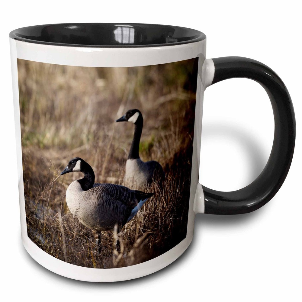 3dRose USA Oregon Basket Slough NWR Pair of Canada Geese Two Tone Mug11 ozBlack