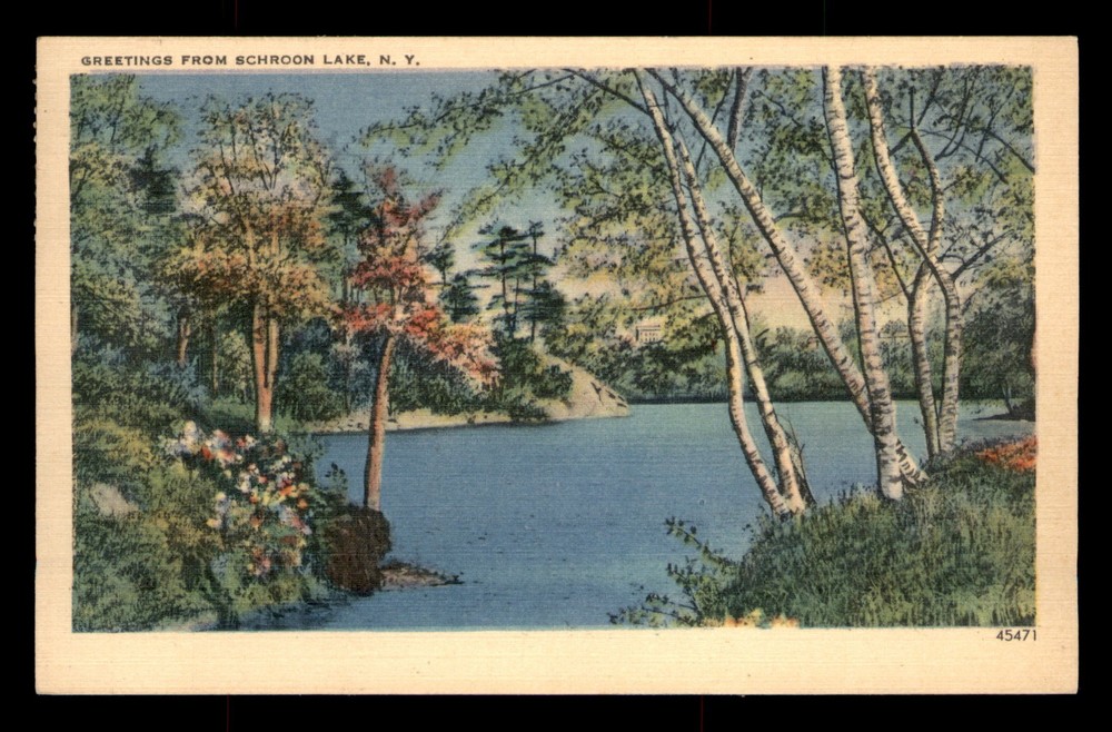 Greetings From Schroon Lake New York NY Posted Linen Postcard